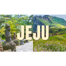 제주4박5일 컴팩트 패키지