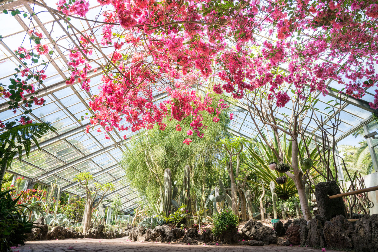 Hallim Park