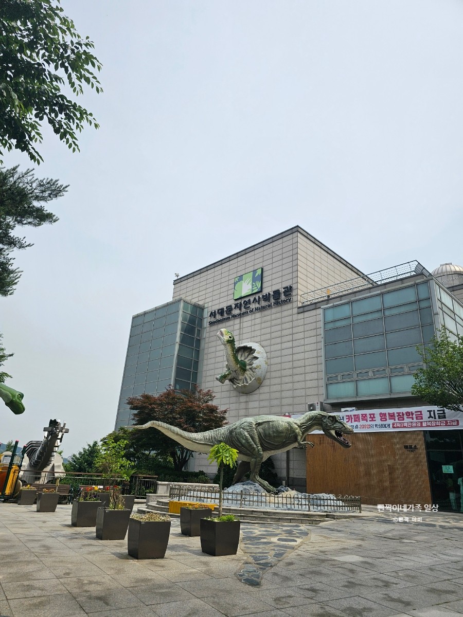 Seodaemun Museum of Natural History